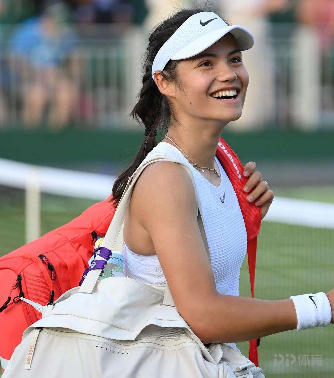 这些疑问亟 这些疑问亟